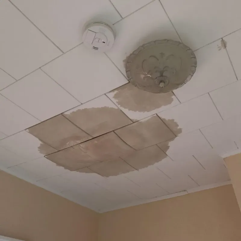 Ceiling Water Damage Repair in Ligonier, PA