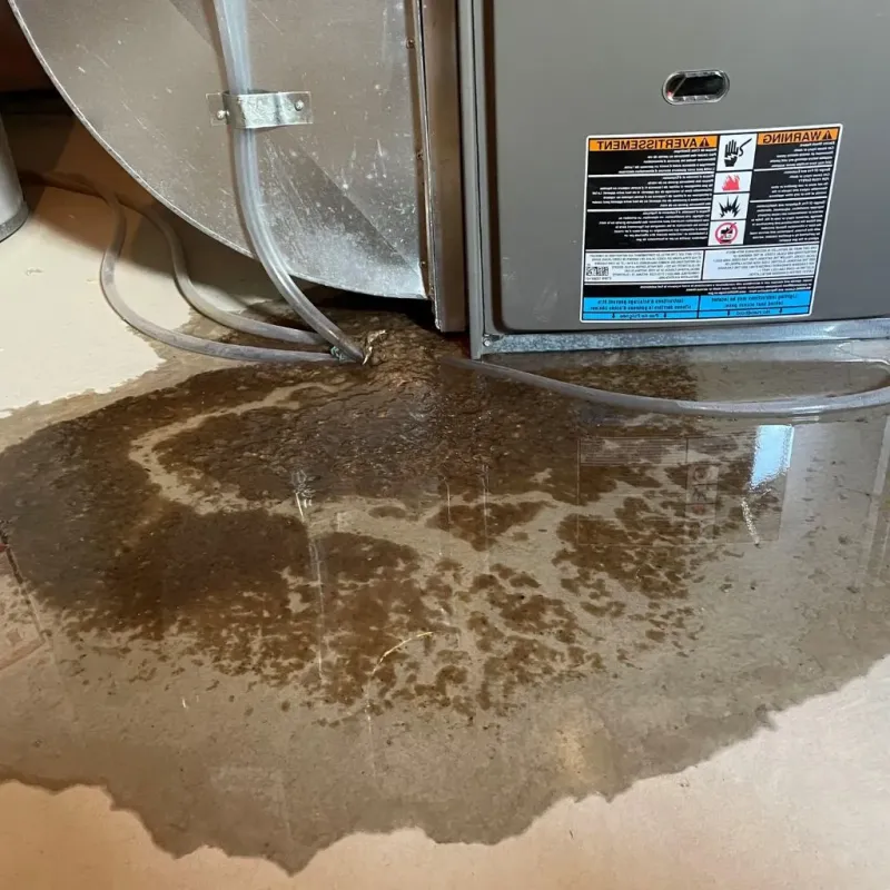Pipe Burst and Leak Restoration in Ligonier, PA